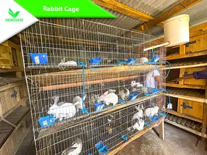 Rabbit Cages With Feeders in Kenya One Year Warranty