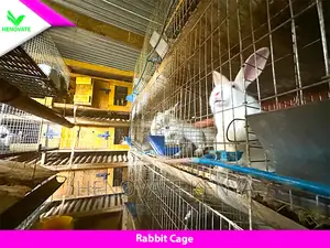 Rabbit Cage(Brand New) Made With Galvanized One Year Warrant