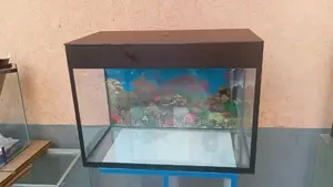 Locally Made Aquarium