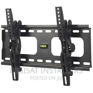 Best Mounting Tv Wall Mount/Bracket