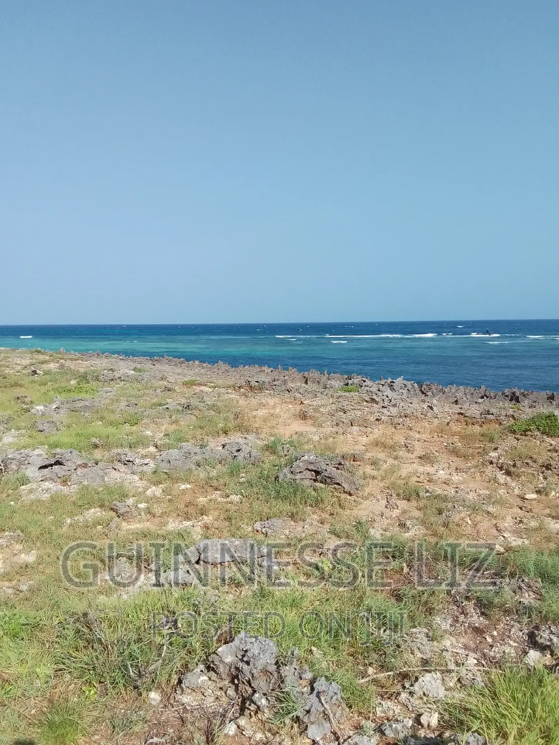 Bofa, 1/4 Acre Plots