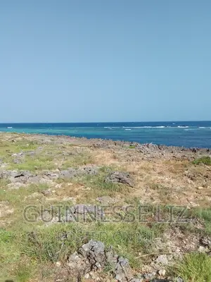 Bofa, 1/4 Acre Plots