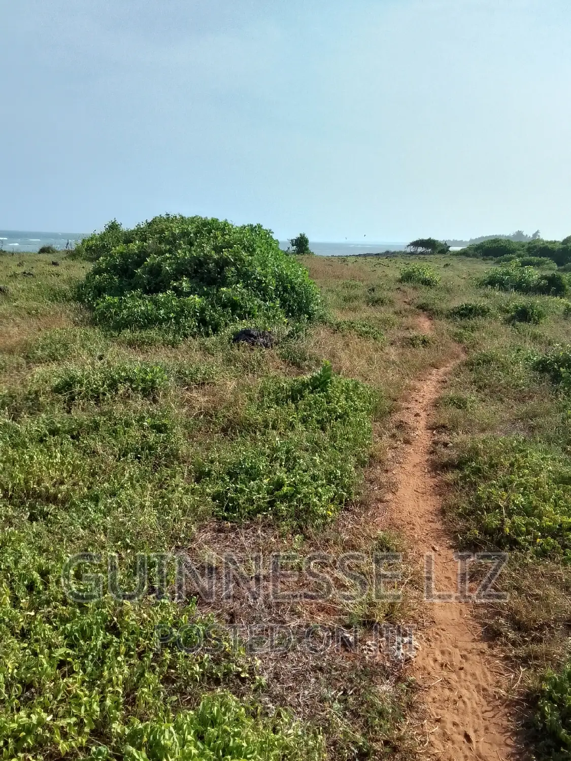 Bofa, 1/4 Acre Plots