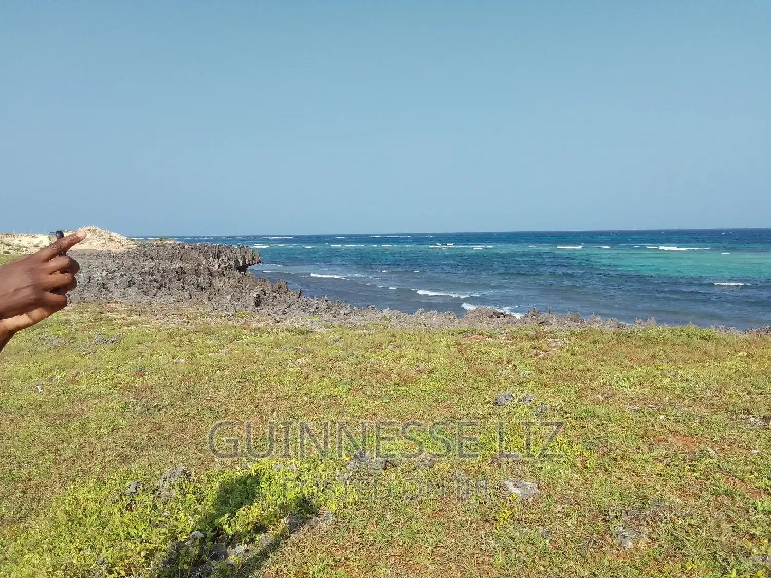 Bofa, 1/4 Acre Plots