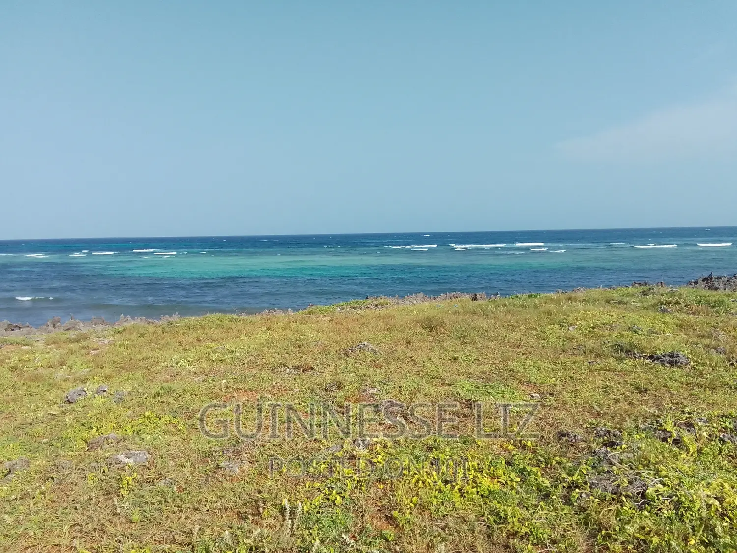Bofa, 1/4 Acre Plots
