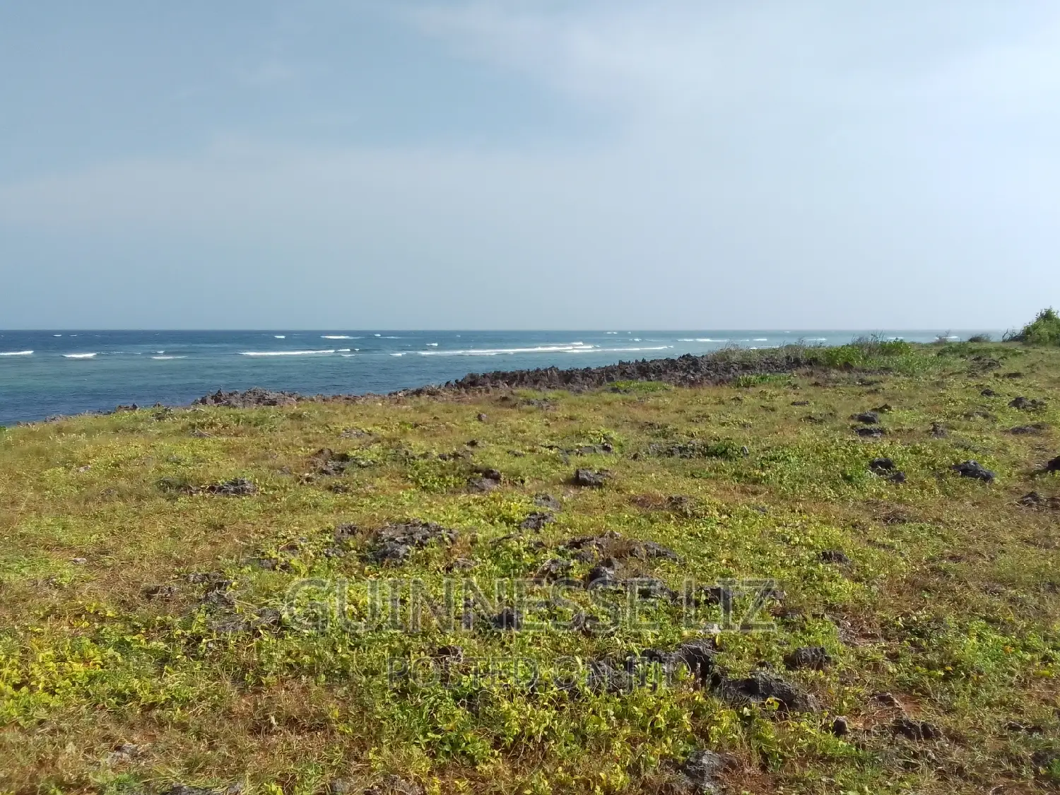 Bofa, 1/4 Acre Plots