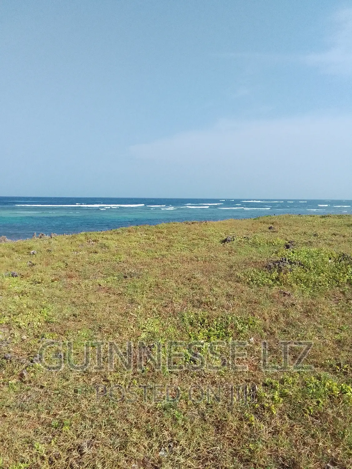 Bofa, 1/4 Acre Plots