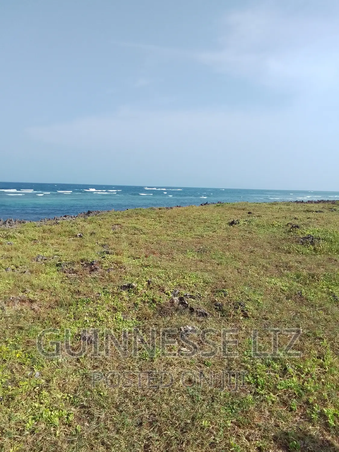 Bofa, 1/4 Acre Plots