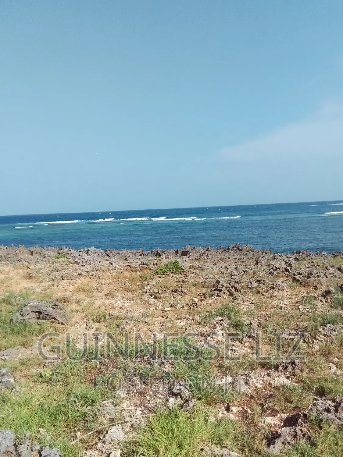 Bofa, 1/4 Acre Plots