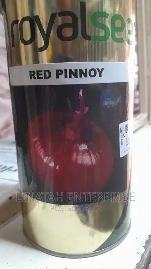 Red Pinnoy 500gms Hybrid Onion