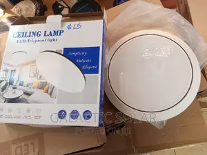 Ceiling Lamp /Full Moon 24w