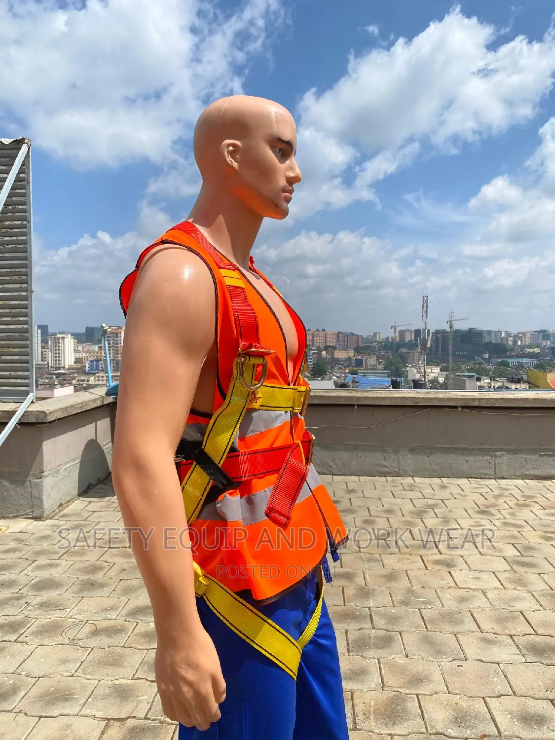 Safety Harness And Lanyards Affordable Rates