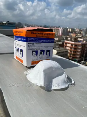 Dust Masks , Taiwan Protection Safety Dust Mask