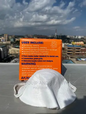 Safety Quality Disposable Safety Dust Masks