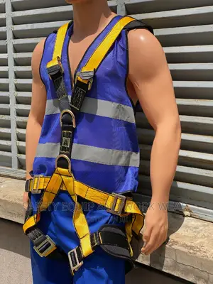 Fullbody Safety Harness/Safety Harness Best Price