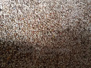 Sesame ( Simsim ) Planting Seeds 20kgs
