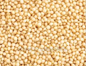 Amaranth Seeds Moq 20