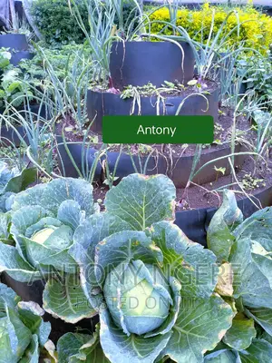 Multi Storey Garden