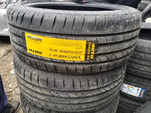 225/45r19 Boto Tyre