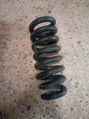 Toyota Dyna Springs