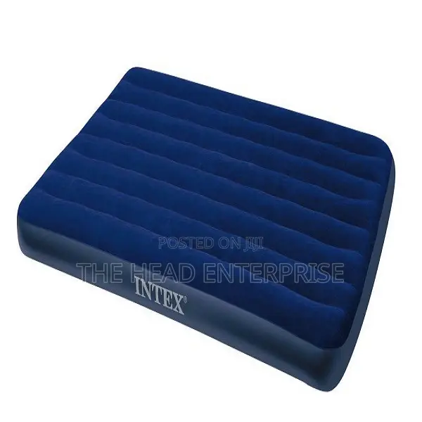 Intex Heavy Duty Inflatable Mattress