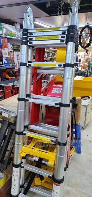 Ladder 5M Height