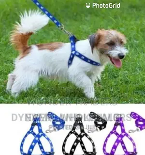 Chiwawa Dog Leash/Puppy Dog Leash