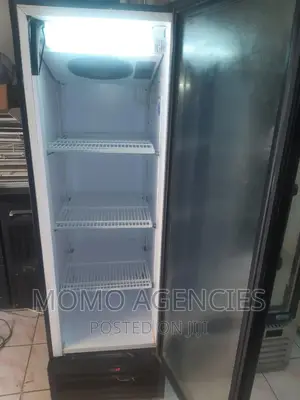 Display Fridge 300l