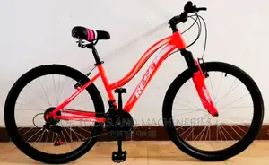 Reset Adult Bike Size 24