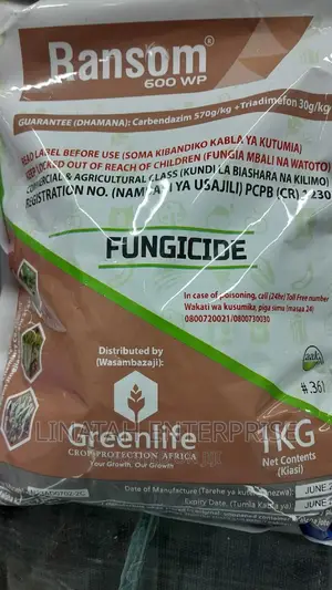 Ransom 600wp 1kg Fungicide