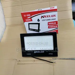 Led Electric Floodlight 100w