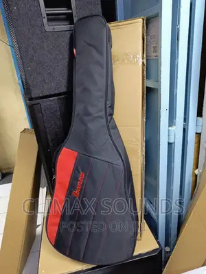 Acoustic Guitar Bag Ibanez ''