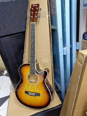 Semi Acoustic Ibanez 40 