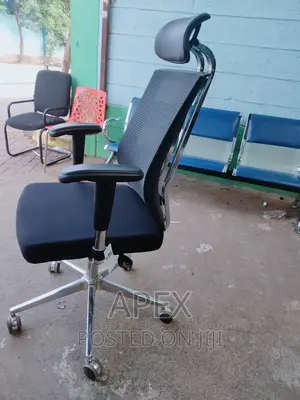 Orthopedic Executive Office Chair.