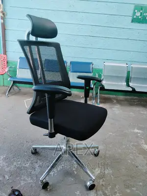 Orthopedic Executive Office Chair