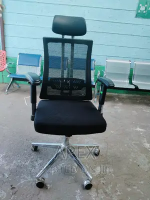 Orthopedic Executive Office Chair