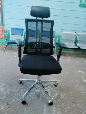 Orthopedic Executive Office Chair