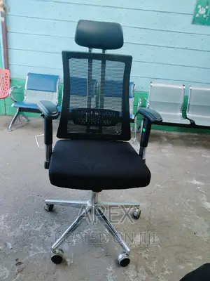 Orthopedic Executive Office Chair