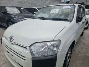 Toyota Probox 1.3 DX 2WD 2016 Pearl
