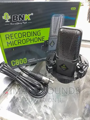 Recording Microphone C800
