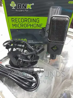 Condenser Studio XLR Microphone (C 800)