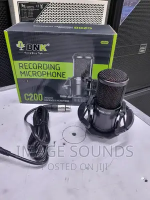 Recording Microphone C200
