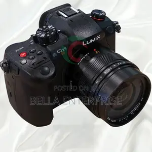 Panasonic Lumix GH5S