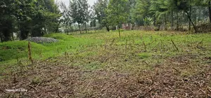 1⁄4 Plot for Sale in Cheplasgei Bypass Greenwood Eldoret