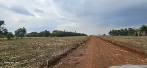 Commercial 1⁄4 Plots for Sale in Annex Eldoret