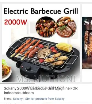 Electric Barbecue Grill