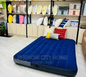INTEX Inflatable Mattress