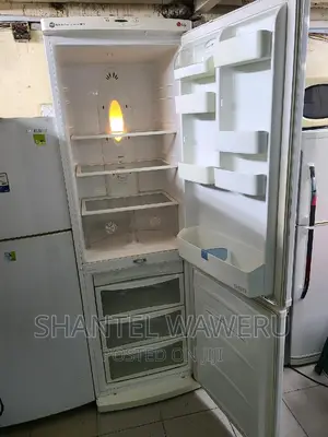 Big Bottom Freezer Fridge
