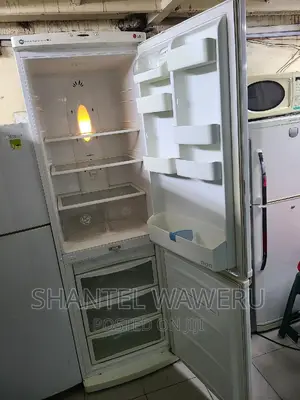 Big Bottom Freezer Fridge
