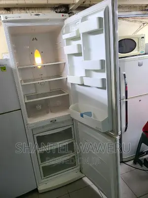 Big Bottom Freezer Fridge